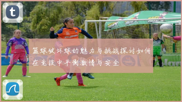 篮球破坏球的魅力与挑战探讨如何在竞技中平衡激情与安全