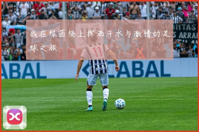 我在绿茵场上挥洒汗水与激情的足球之旅