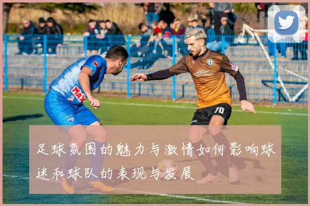 足球氛围的魅力与激情如何影响球迷和球队的表现与发展